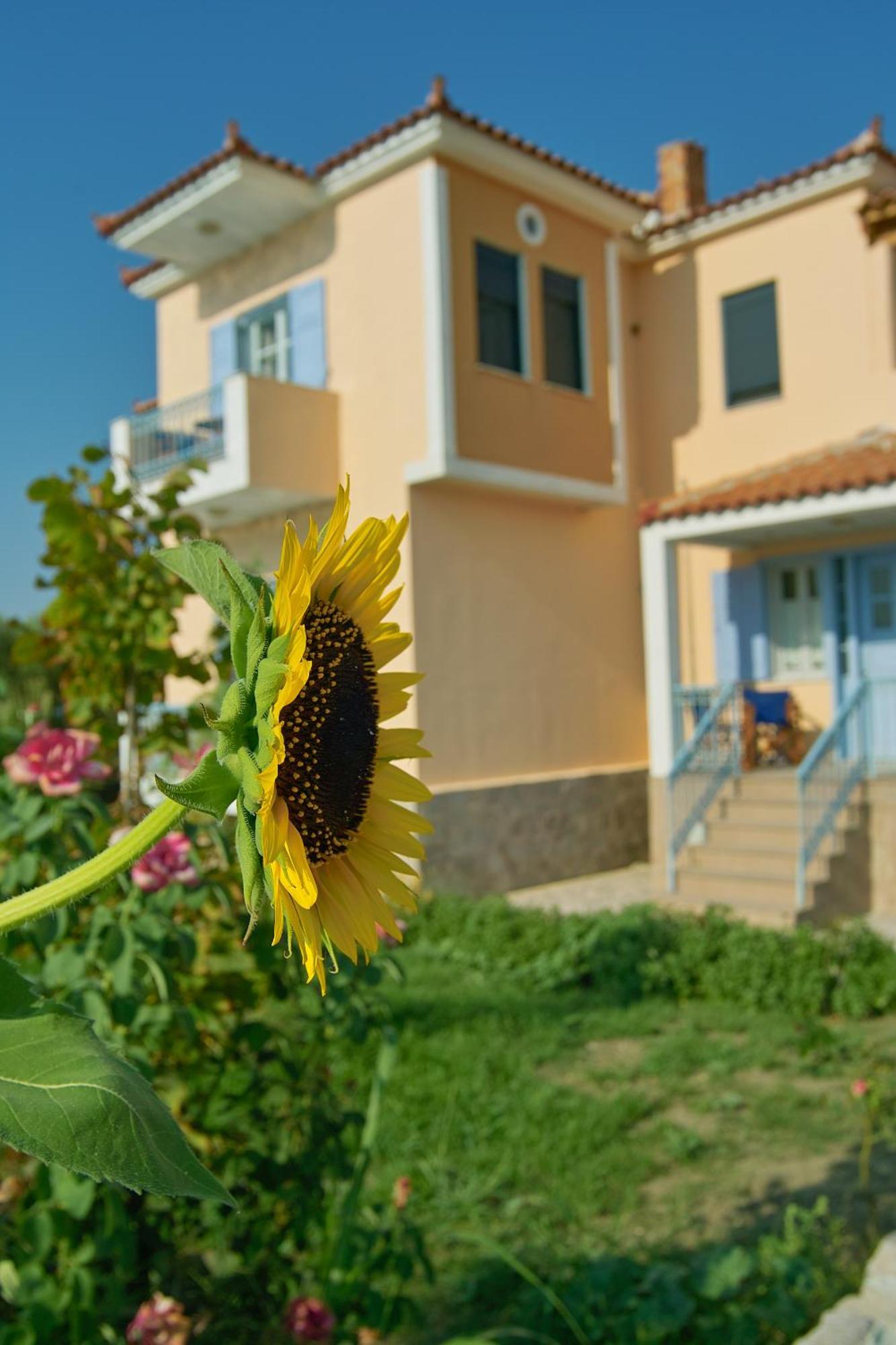Marita Villa Lisvori Ngoại thất bức ảnh