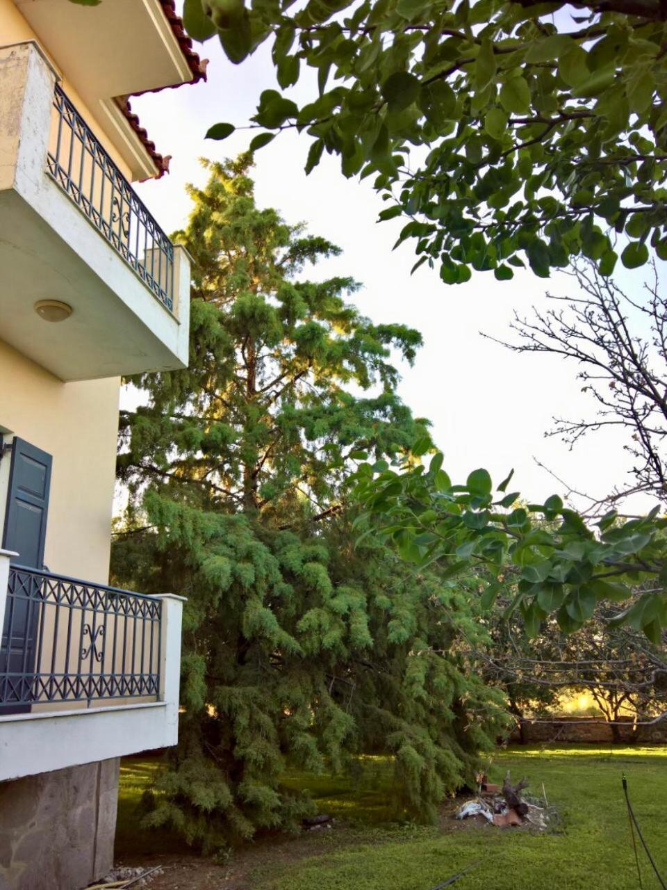 Marita Villa Lisvori Ngoại thất bức ảnh